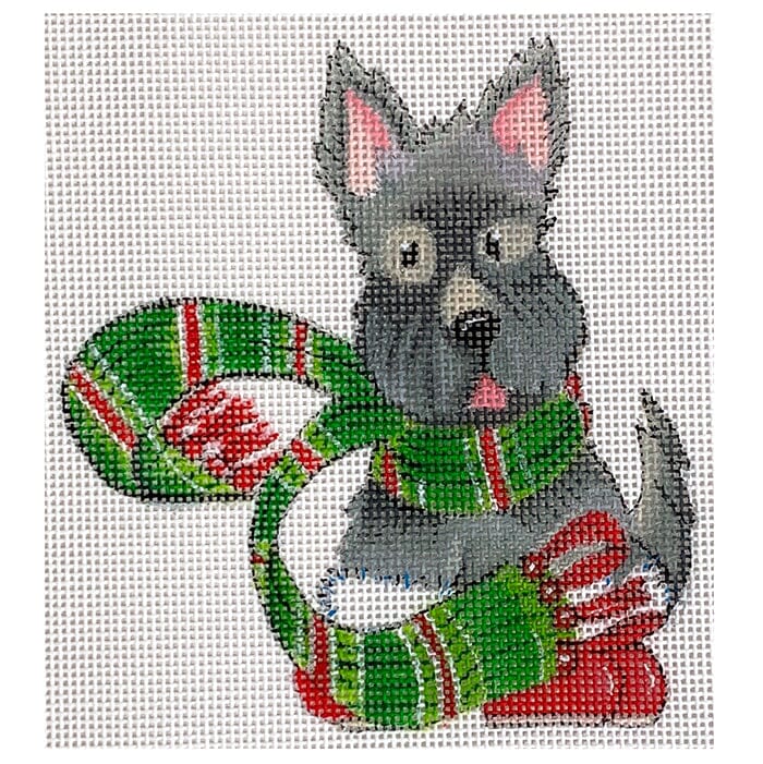 Animals: Scottie in Scarf