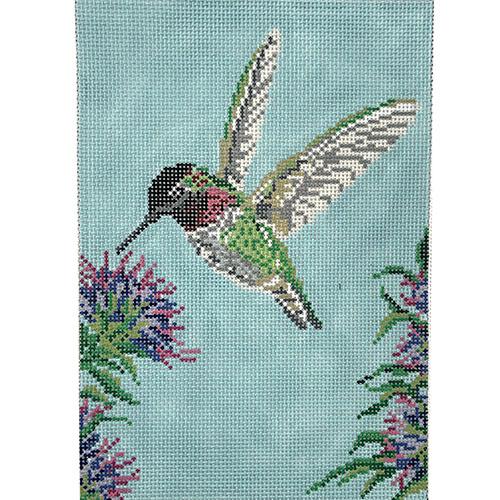 Anna's Hummingbird on 13