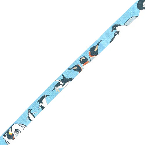 Antartica Penguins Belt