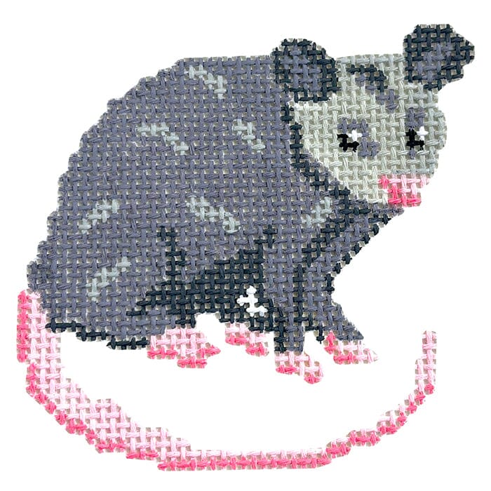 Baby Possum - Baby Wildlife