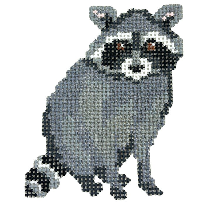 Baby Raccoon - Baby Wildlife