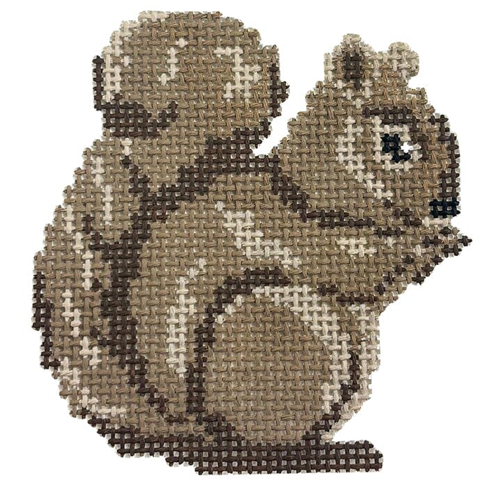Baby Squirrel - Baby Wildlife