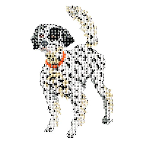 Beau - English Setter