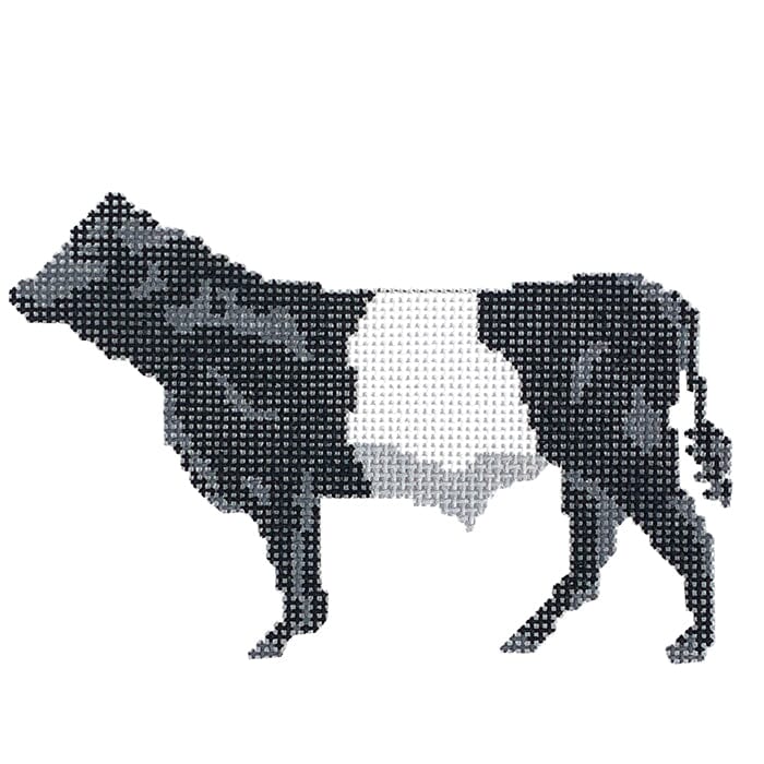 Belted Galloway Cow