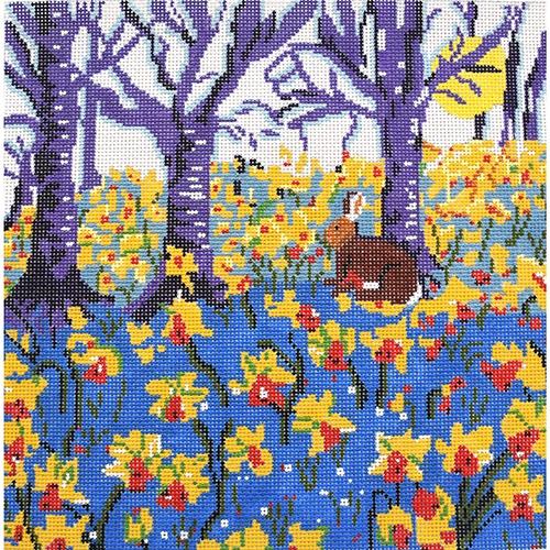 Daffodil Woods
