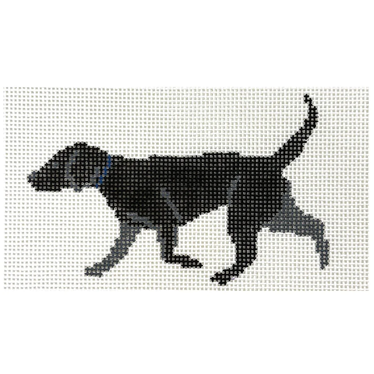 Black Lab Profile