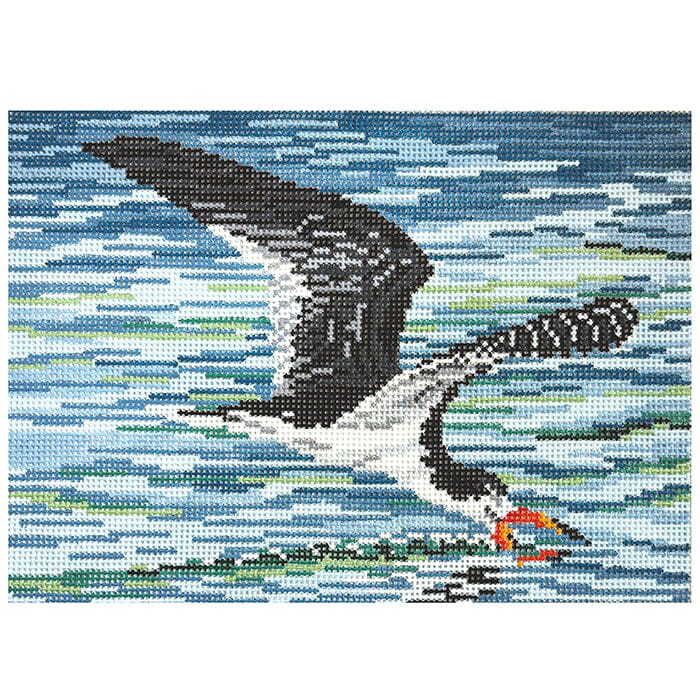 Black Skimmer on 18