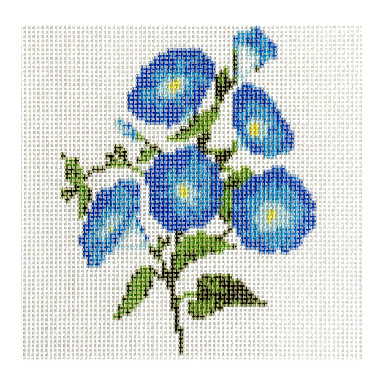 Blue Flowers