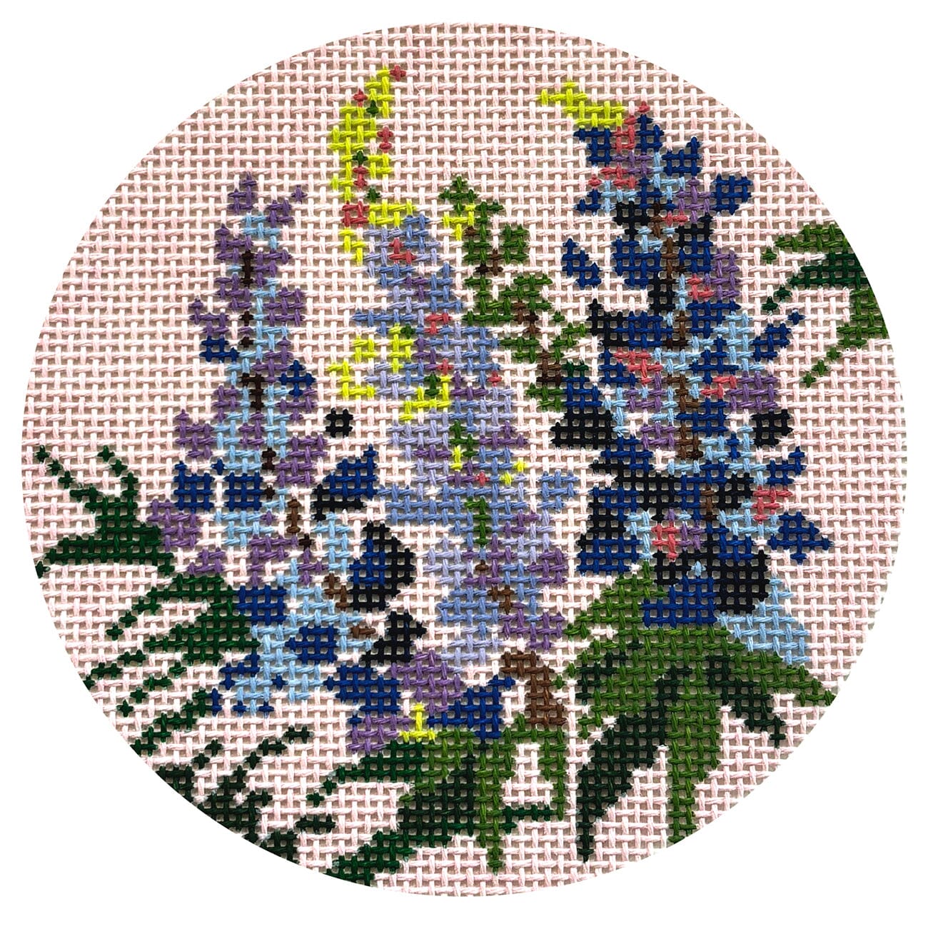 Bluebonnet 4" Round