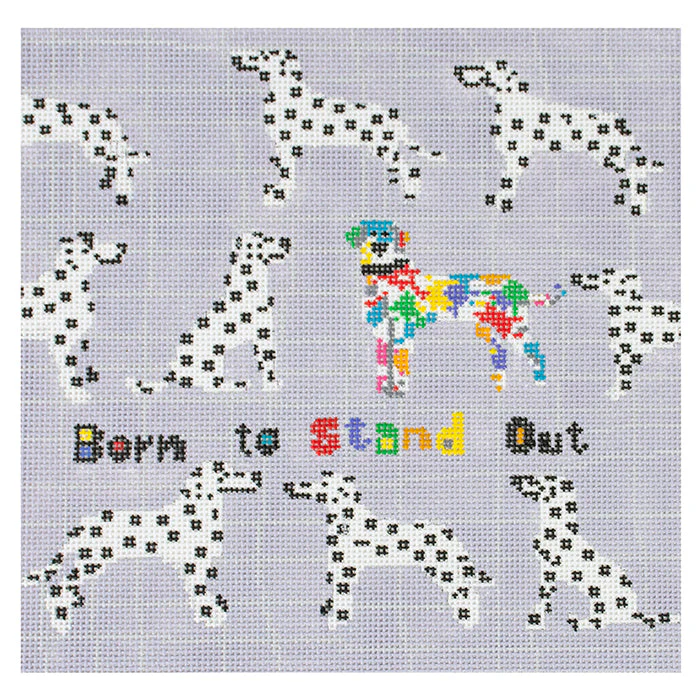 Born to Stand Out - Dalmatian on 14