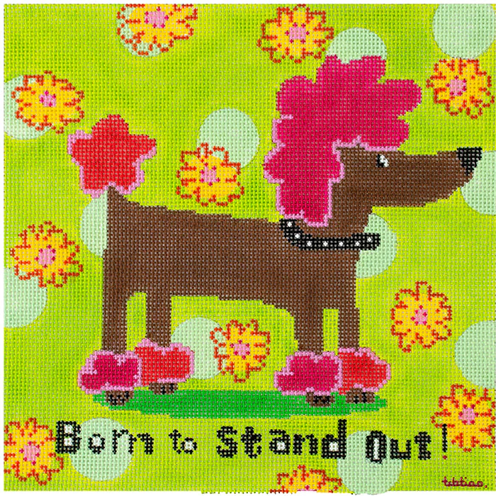 Born to Stand Out - Glamour Poodle on 13