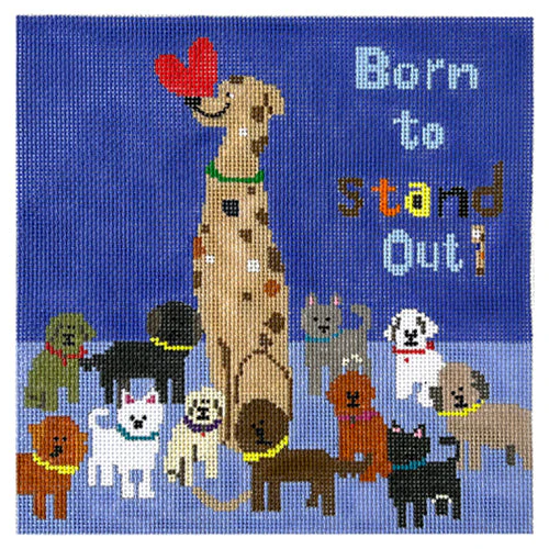 Born to Stand Out - Great Dane on 13