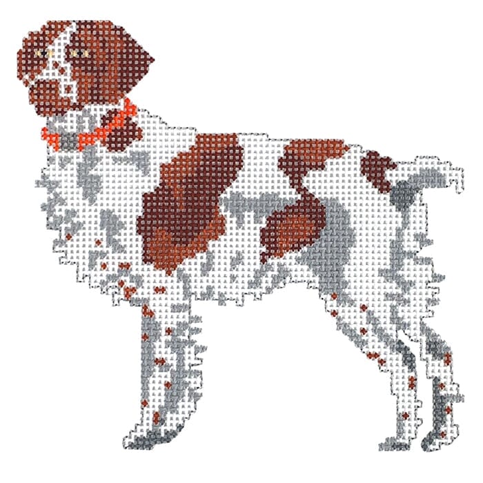 Brittany Spaniel