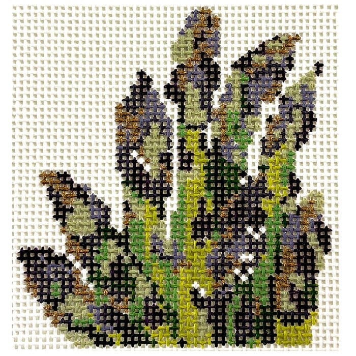 Bronze Asparagus - Gilded Garden
