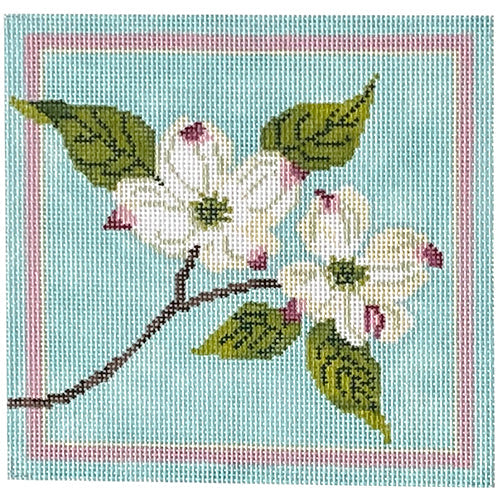 White Dogwood Blossoms on 18