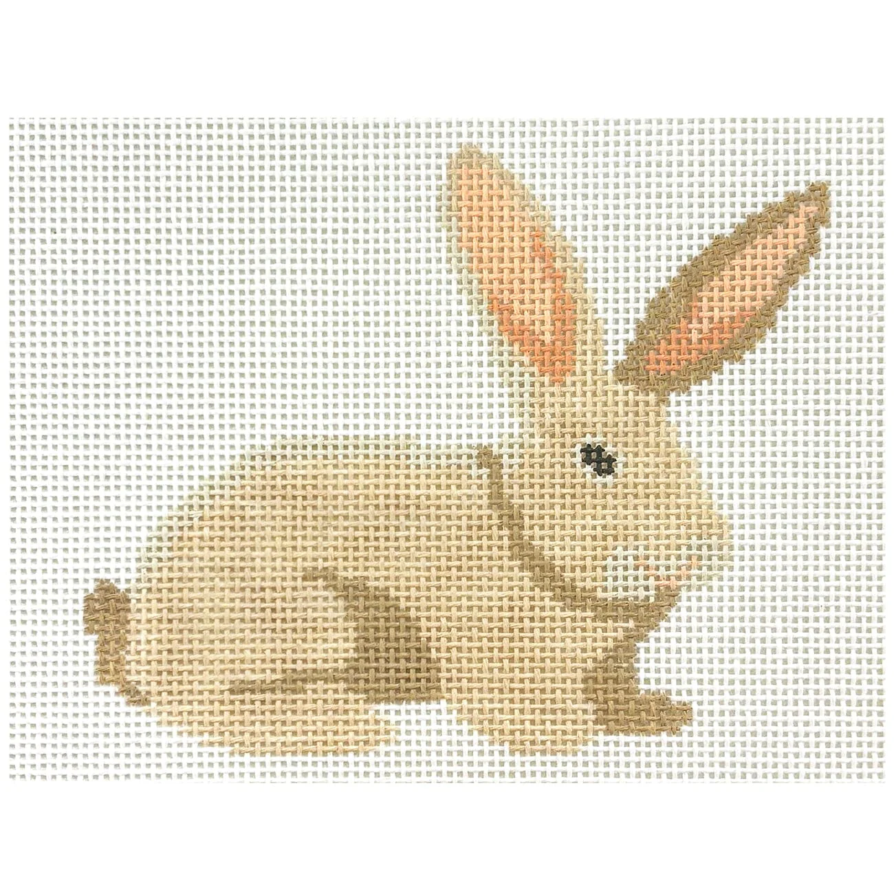 Bunny Profile