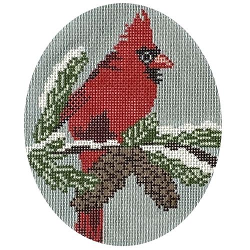 Cardinal on Pine Tree - Male