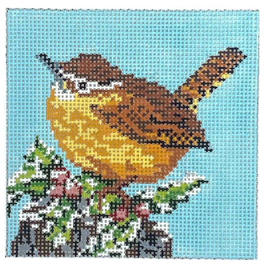 Carolina Wren 4x4