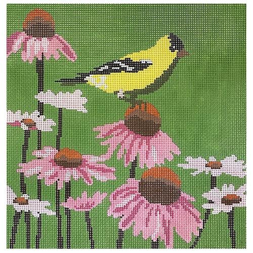 Goldfinch on Cone Flower