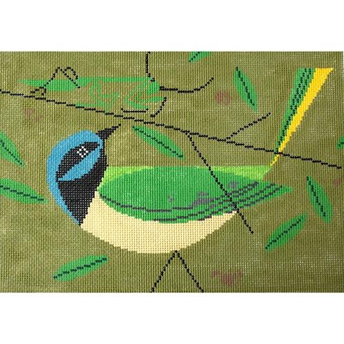 Green Jay