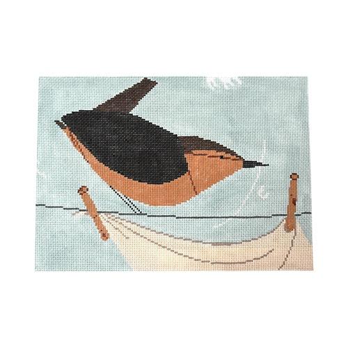 House Wren on Clothesline