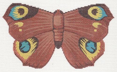 Chocolate and Turquoise Butterfly - Beautiful Butterflies
