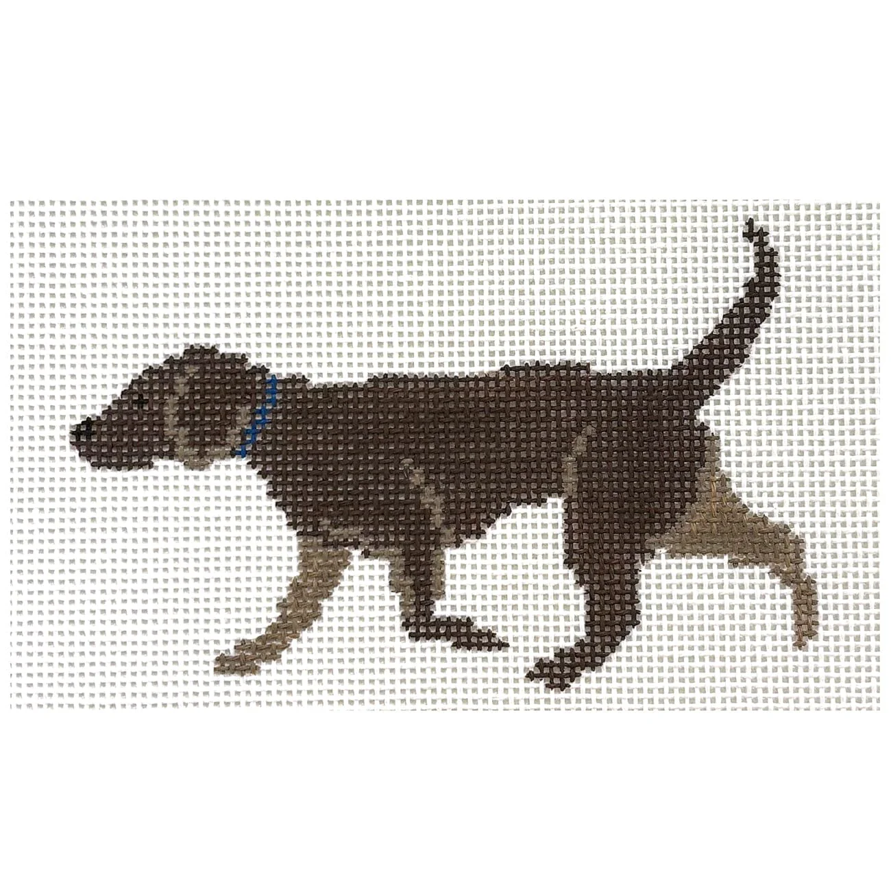 Chocolate Lab Profile