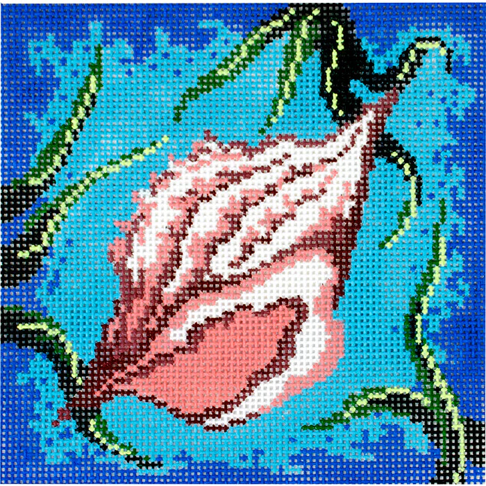 Conch Shell with White Coral on Aqua