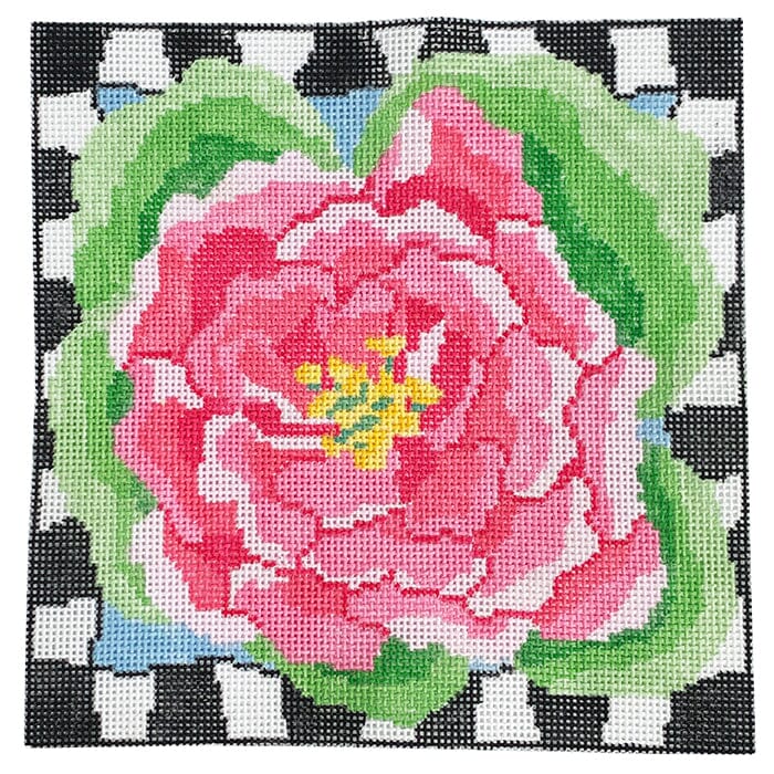 Coral Delights 8"