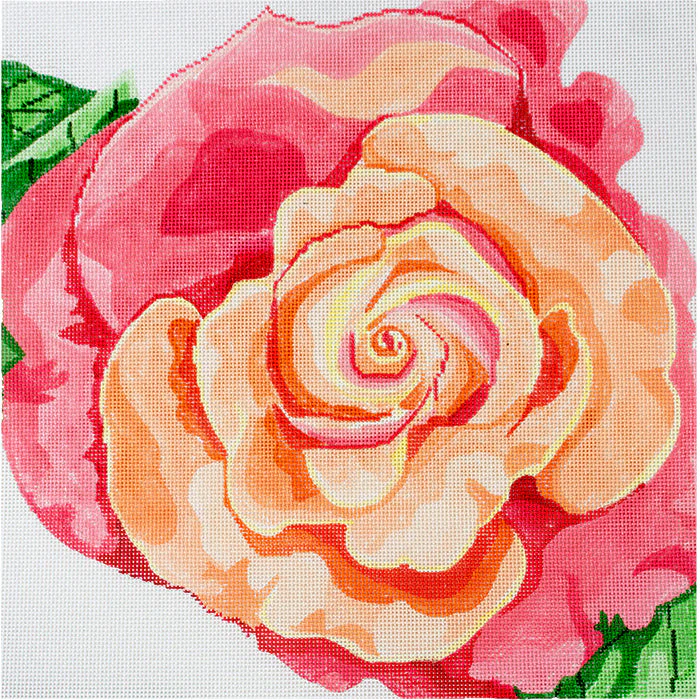 Coral Rose
