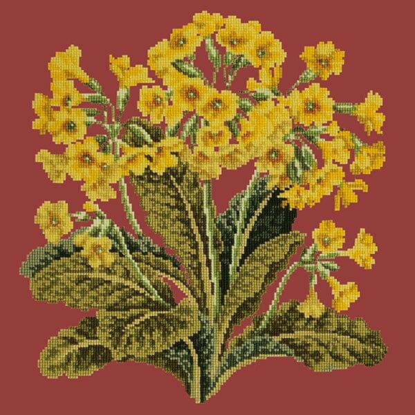 Cowslip Needlepoint Kit - Image 18