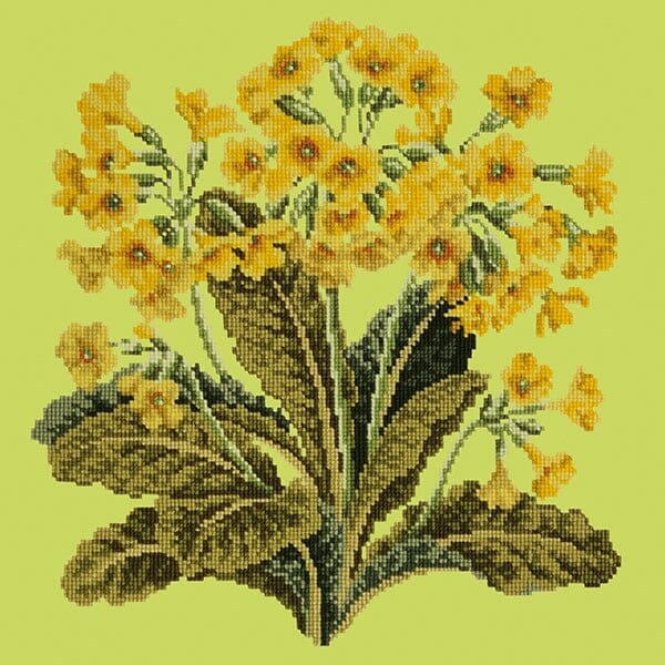 Cowslip Needlepoint Kit - Image 6