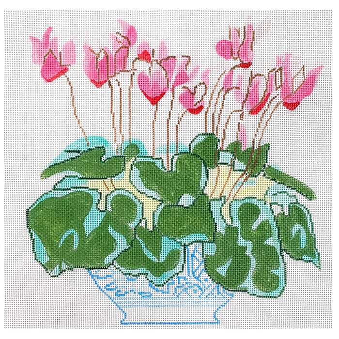 Cyclamen in Blue Bowl