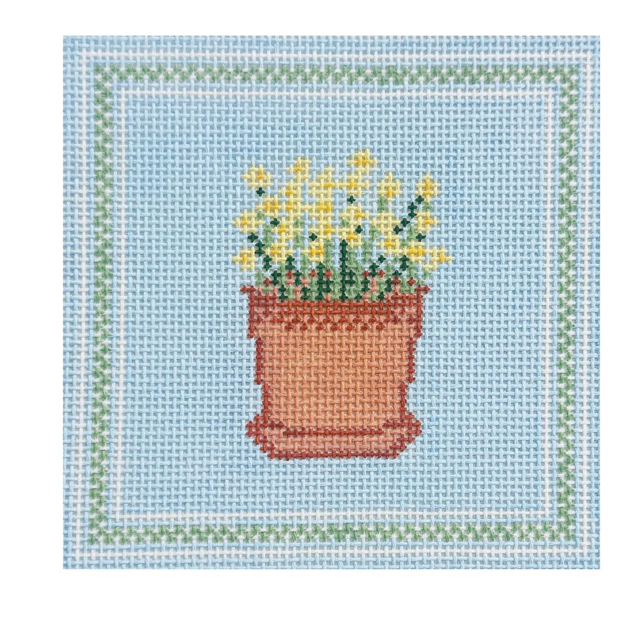 Daffodils