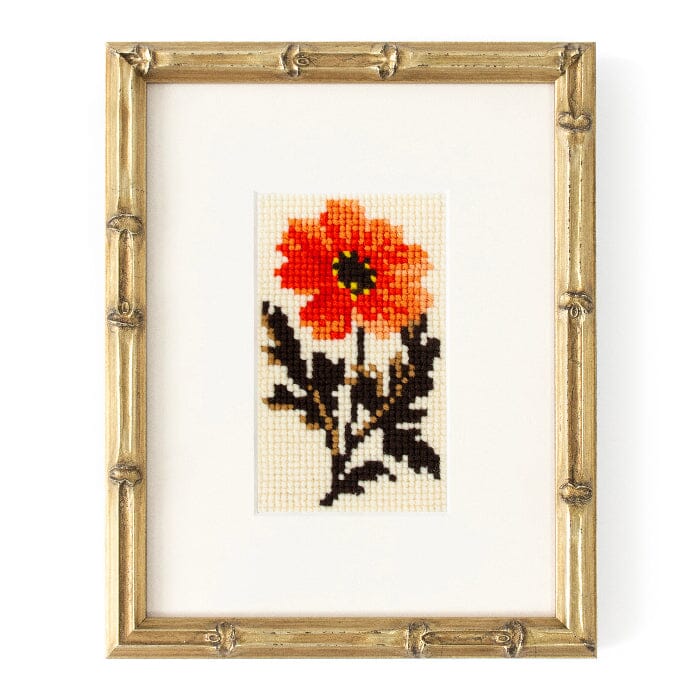 Dahlia Starter Kit