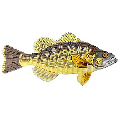 Bass
