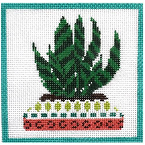 Cactus Series - Agave