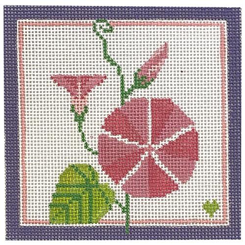 Morning Glory with Border