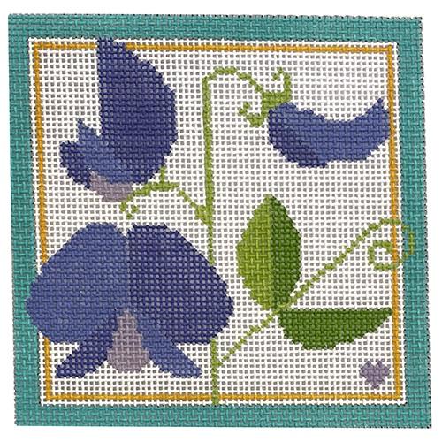 Sweet Pea with Border