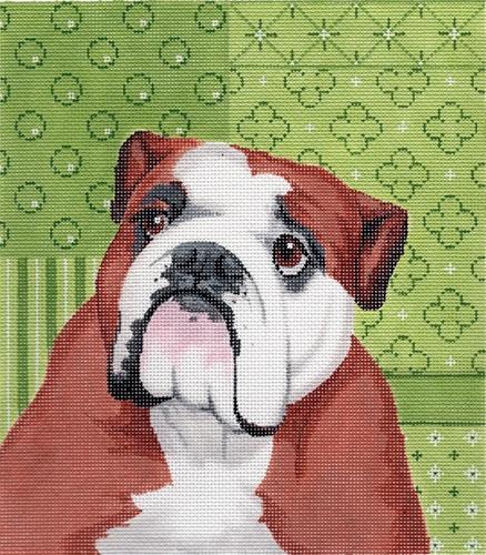 English Bulldog