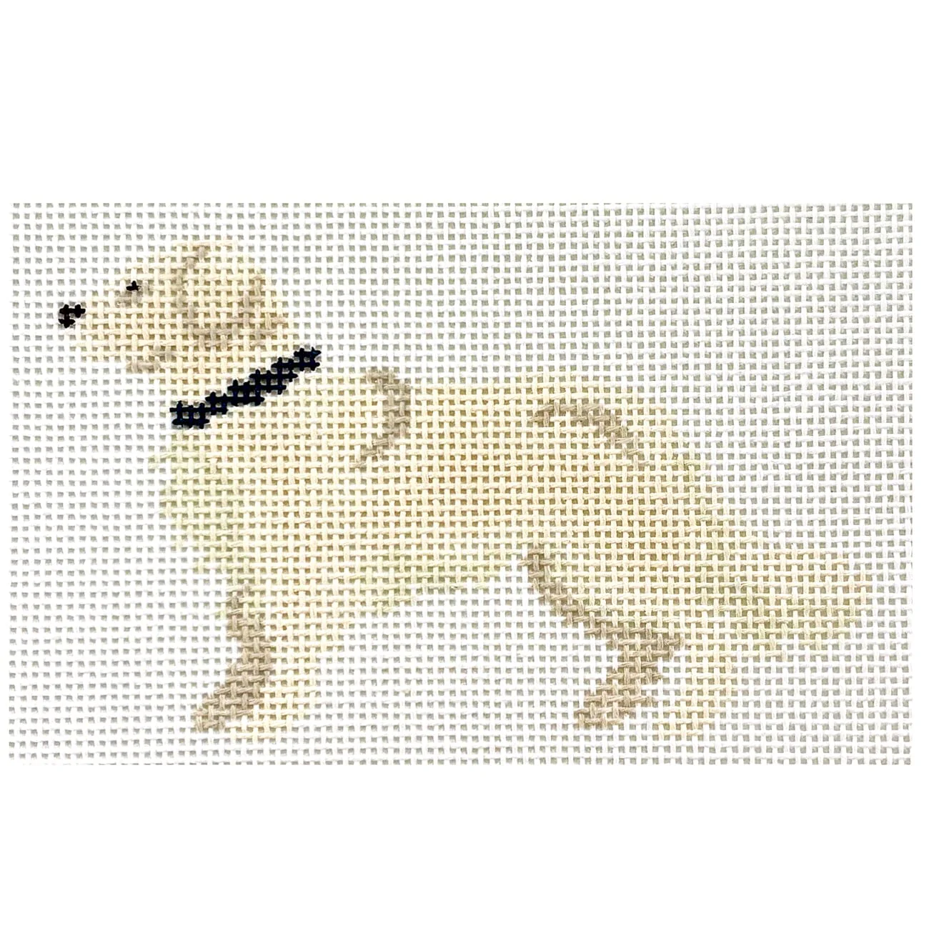 English Cream Golden Retriever Profile