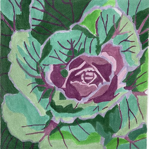 Farmer's Market Ornamental Cabbage