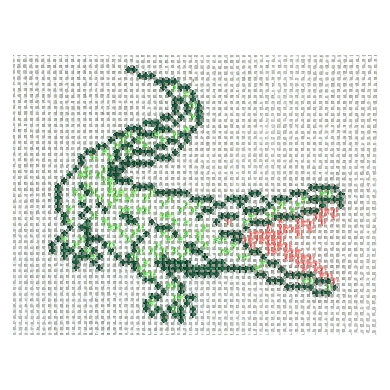 Florida Alligator