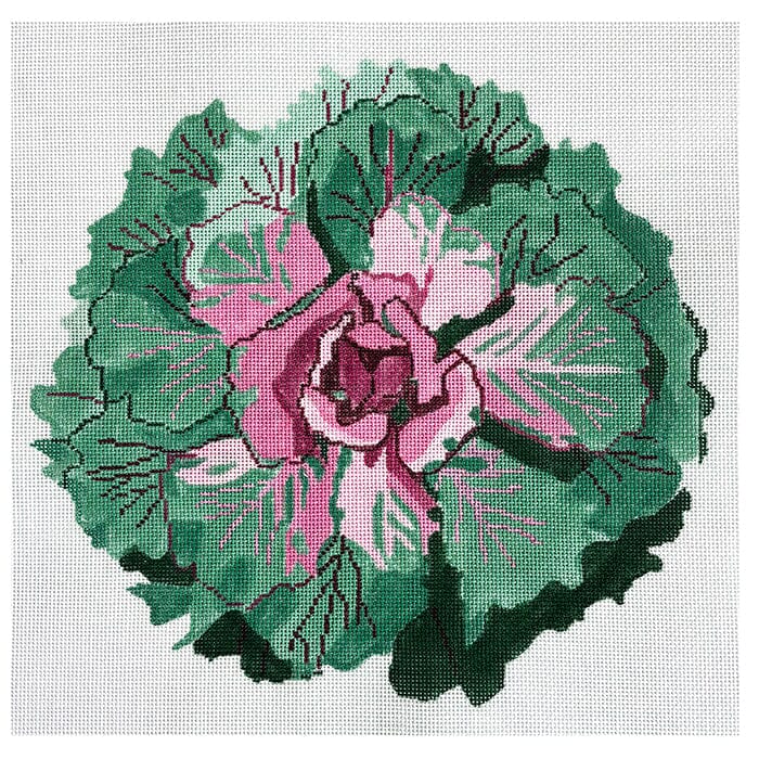 Flowering Kale #2 14"