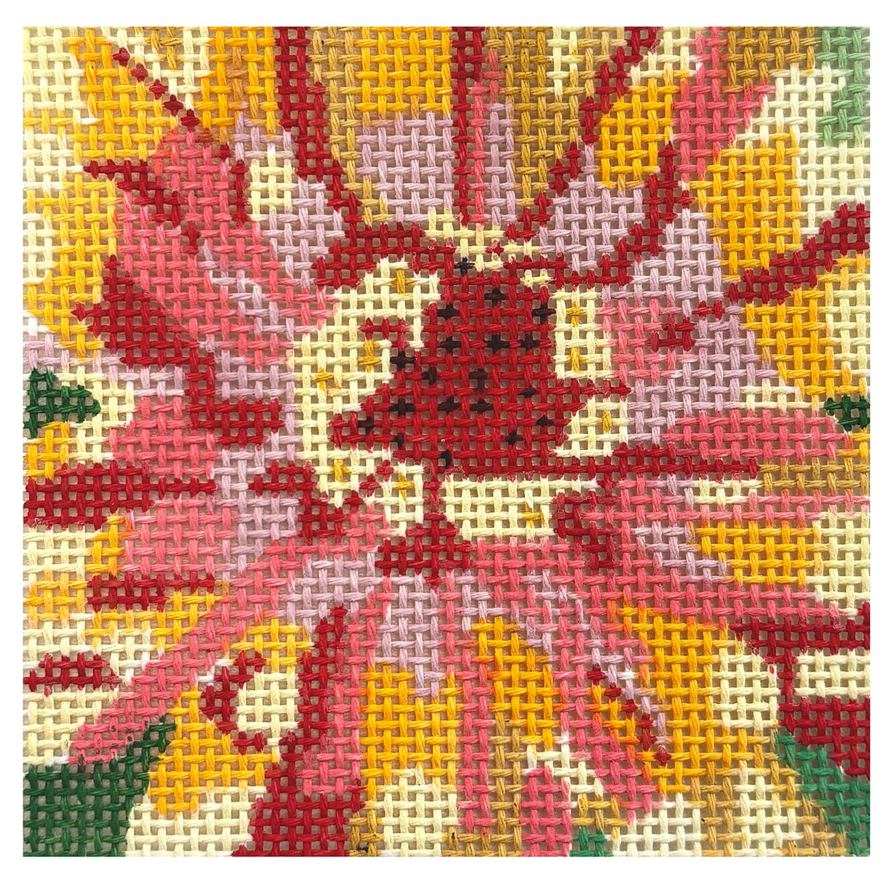 Full Bloom 4" Coaster Bold Zinnia