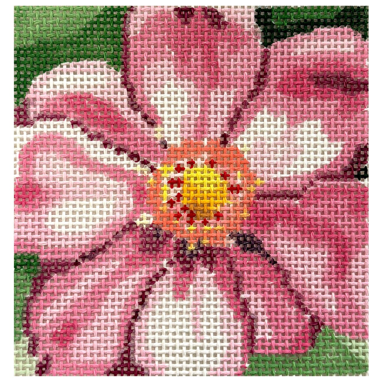 Full Bloom 4" Coaster Cosmos