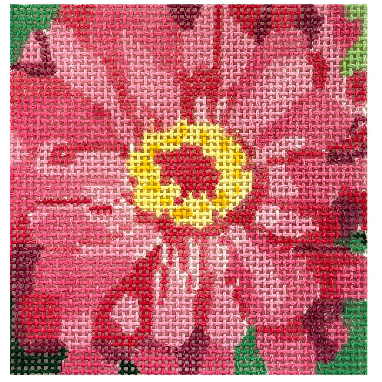 Full Bloom 4" Coaster Pink Zinnia