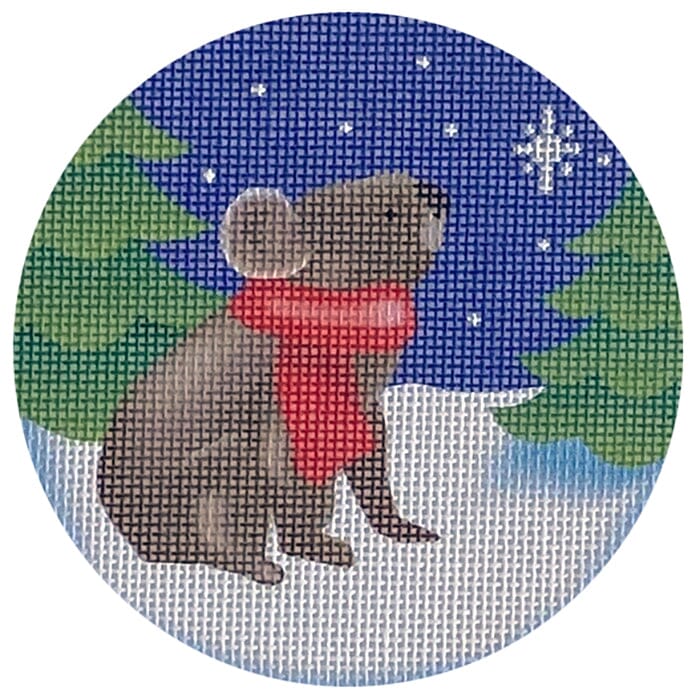 Gazing Koala
