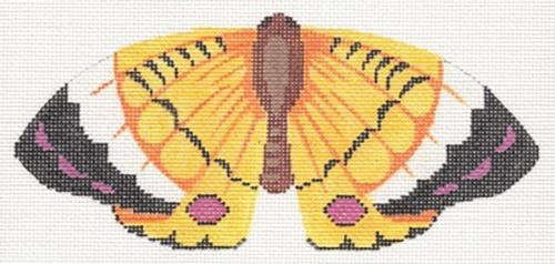 Gold and Black Butterfly - Beautiful Butterflies