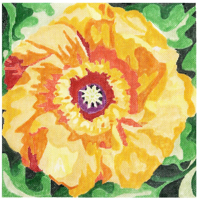 Golden Poppy 14"